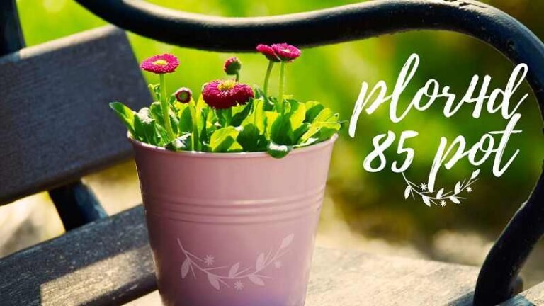 plor4d85 pot