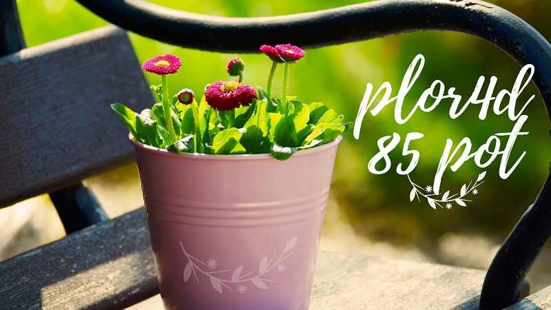 plor4d85 pot